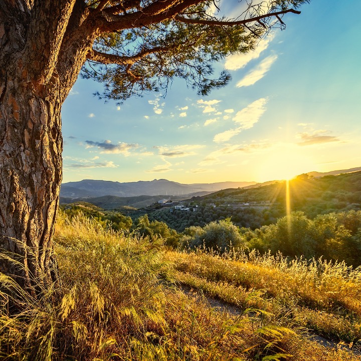 - Seinarteilnehmer -